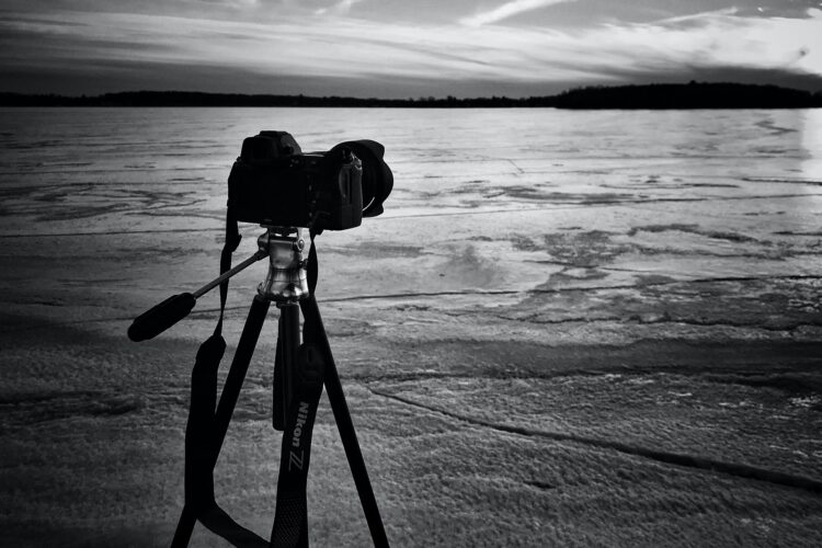 Patrick Donnelly Farmyuwp Tm Unsplash